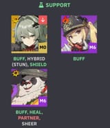 06846253
