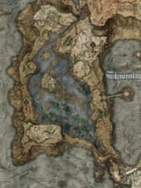 we dont need the nightreign map to look like this