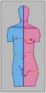 Screenshot_2