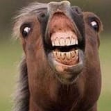 derp