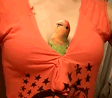 me getting back into that good shit