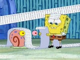 spongelist