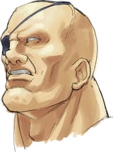 sagat