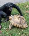 Me sharing a snack with Cuora_thumb.jpg