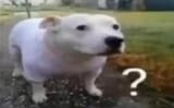 1672433097301