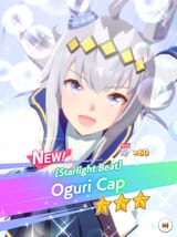 new horse