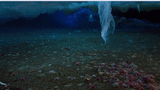 ice