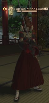 300px-Captain_of_the_Guard[1]