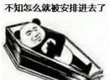 不知怎么就被安排进去了 熊猫头躺在棺材里，配文“不知怎么就被安排进去了”表情包图片gif动图 - 求表情网 斗图从此不求人!