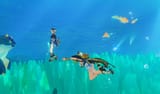 gato_aqua