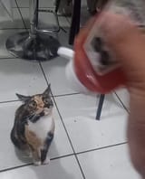 1675303362490212