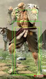 Sagat Hurtboxes