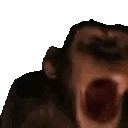 1678426782401845