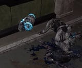 hrm