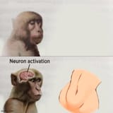 i3gqv8kygdy51