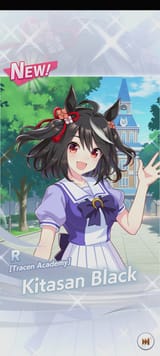 17506058833789