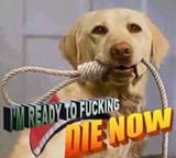 1643159474739