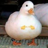 1676403582526361