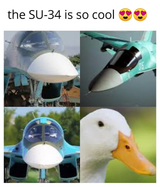 7753376342645