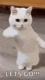 1731752890882312