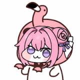 84489648