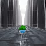 carl_city