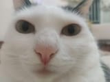 1748856782757917