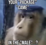 145355876885974331877085
