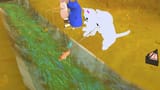 VRChat_2025-07-16_19-52-05.921_3840x2160