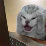 1725845557980512
