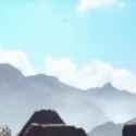 azucena_thumb.jpg
