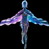 Fi