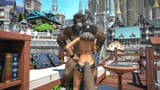 bigasscat