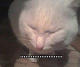 1593207040473