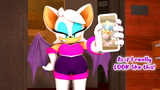 sonic_and_friends__and_rouge__bonus_by_thefunnipixelman_dk5at02