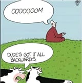 33
