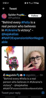 the ukraine