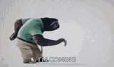 sloth-walking