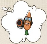 Seasoned Carrot