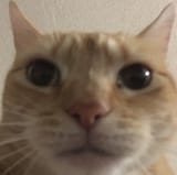 1723933602024263