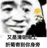 又是清明雨上 折菊寄到你身旁 《又是清明雨上 折菊寄到你身旁》带有一丝思念的经典表情包
