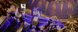The True... is what Sentinel makes it