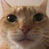 1732533830238477
