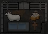 sheep