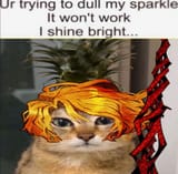 1729413882659017