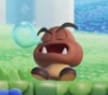 Goomba sleep