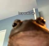 1751206652418356