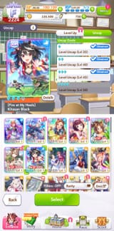 Screenshot_20250717-144552_Umamusume
