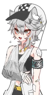 Damage Report