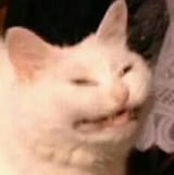 1738957010673190